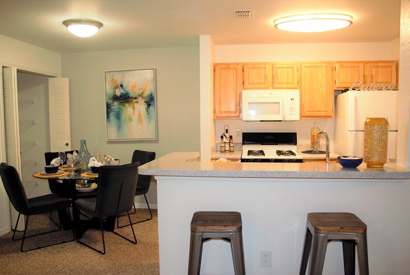 Brookside Apartments Gainesville, FL Swamp Rentals